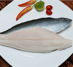 ca-basa-fillet